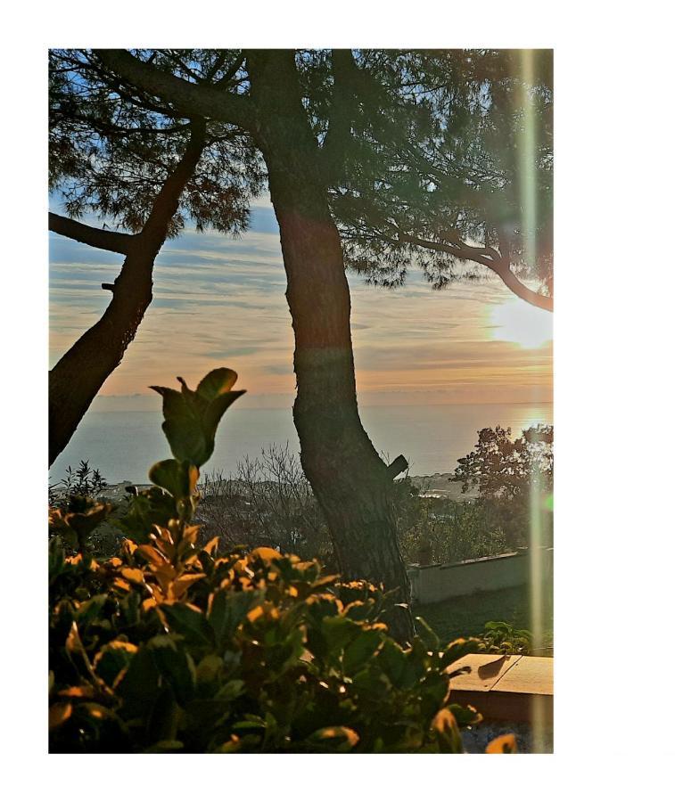B&B Ioli Vesuvio Ercolano Eksteriør billede